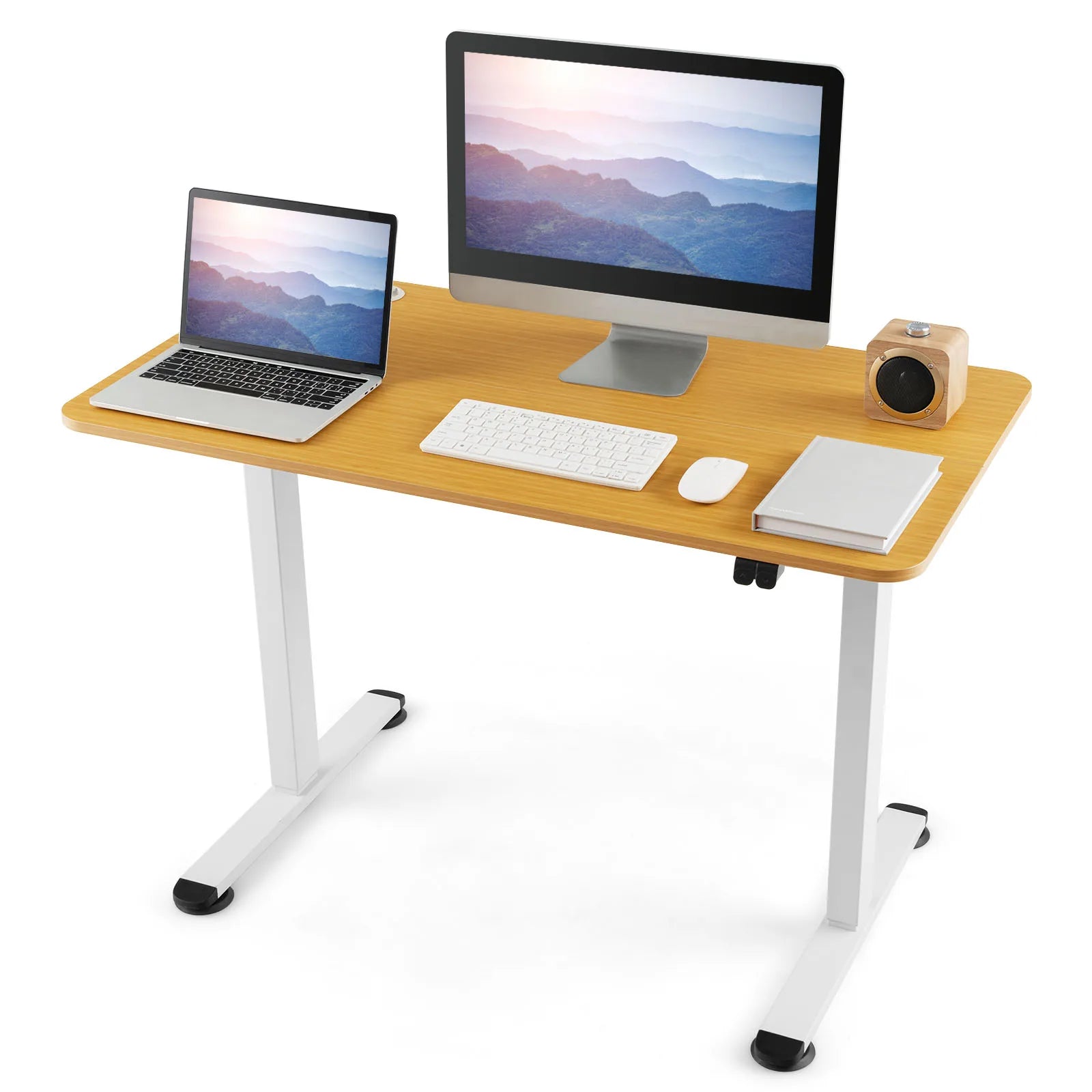 Electric Standing Desk